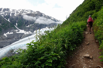 The man is wearing a backpack on his back as he walks down the dirt path.