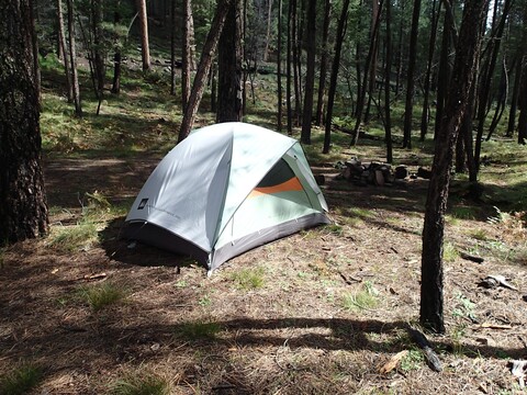 A large white tent sits on the forest floor, surrounded by trees.
