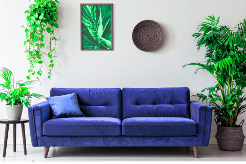 A plush blue sofa is adorned with a single blue pillow and is surrounded by lush green houseplants. A framed botanical print hangs on the wall above the sofa, next to a woven decorative plate.