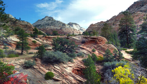 A beautiful rocky area with tall green plants and trees. The sun is shining bright, and the area is surrounded by mountains.