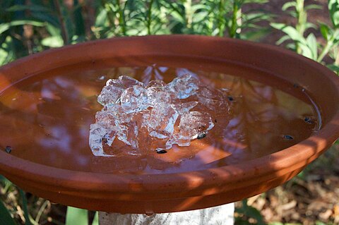 A red vase with ice and water in the bottom.