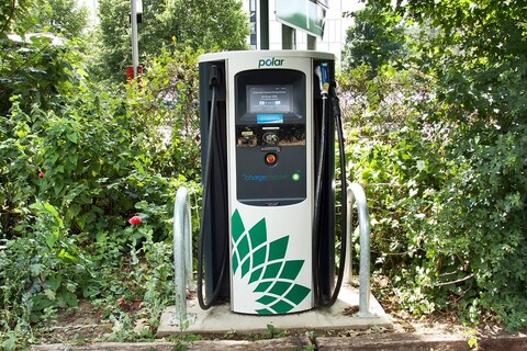 An Electric Vehicle Charging point surrounded by trees and bushes