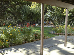 A garden area with many flowers, shrubs, and a bench.