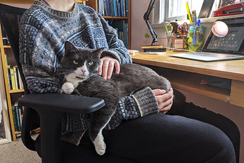 A person with a cat on their lap in a chair.