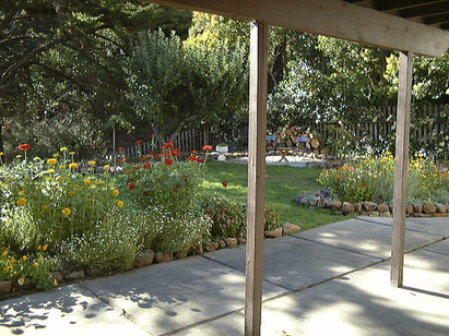 A garden area with many flowers, shrubs, and a bench.