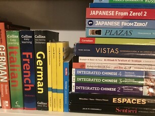 A pile of foreign language books, including German, French, Spanish and Italian, are stacked on a shelf.